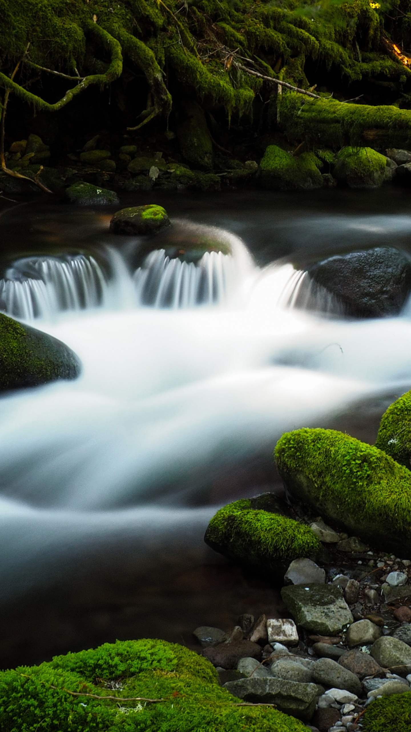 Обои gory oblaka, вода, гидроресурсы, растение, экорегион в разрешении 1440x2560
