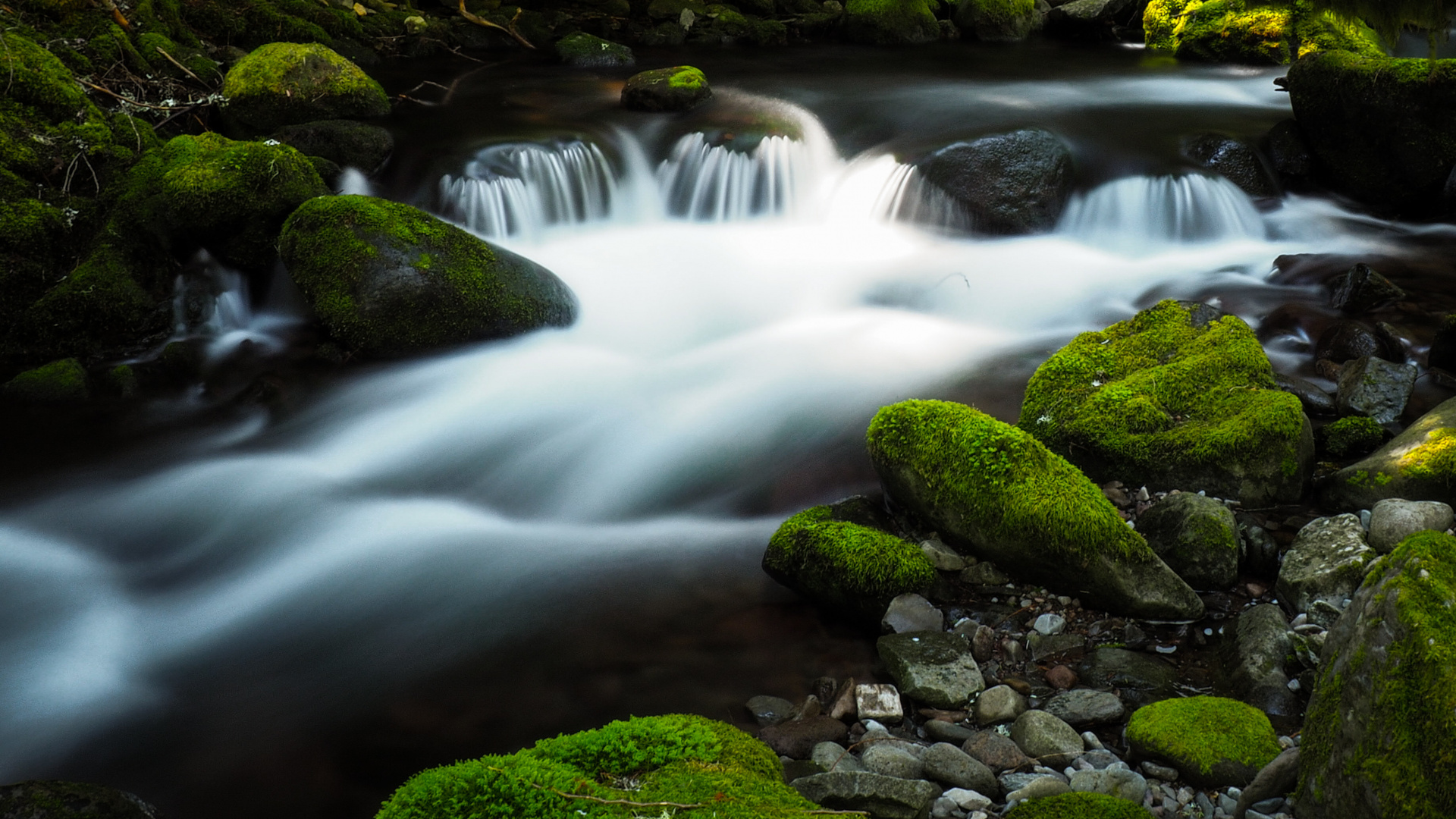 Обои gory oblaka, вода, гидроресурсы, растение, экорегион в разрешении 1920x1080