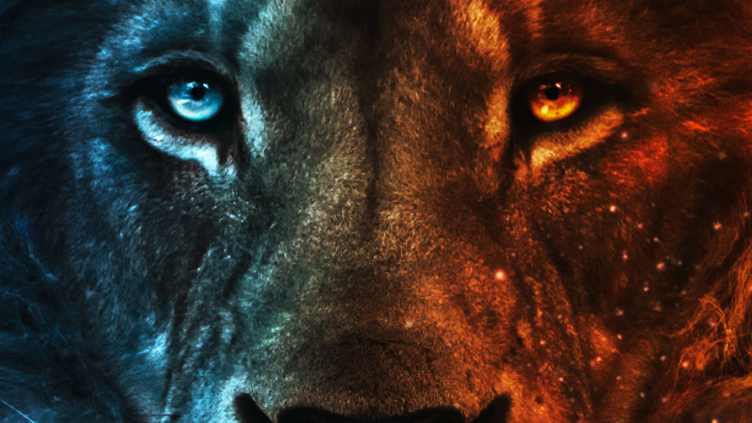 Обои Лев, кошачьих, бакенбарды, наземные животные, печень в разрешении 2560x1440