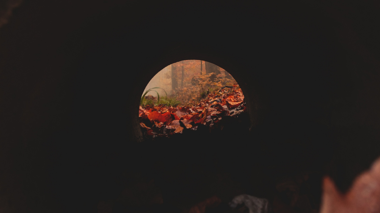 Обои лист, кладка печи, тепло, дерево, древесина в разрешении 1280x720