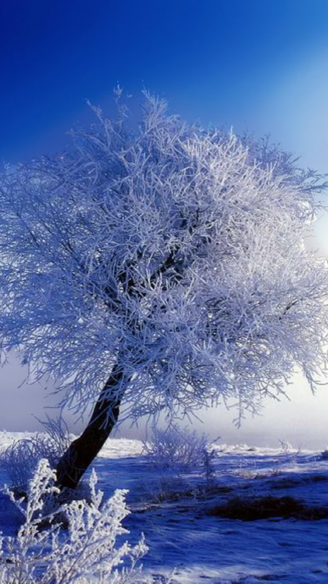 Обои зима, сезон, снег, природа, дерево в разрешении 1080x1920