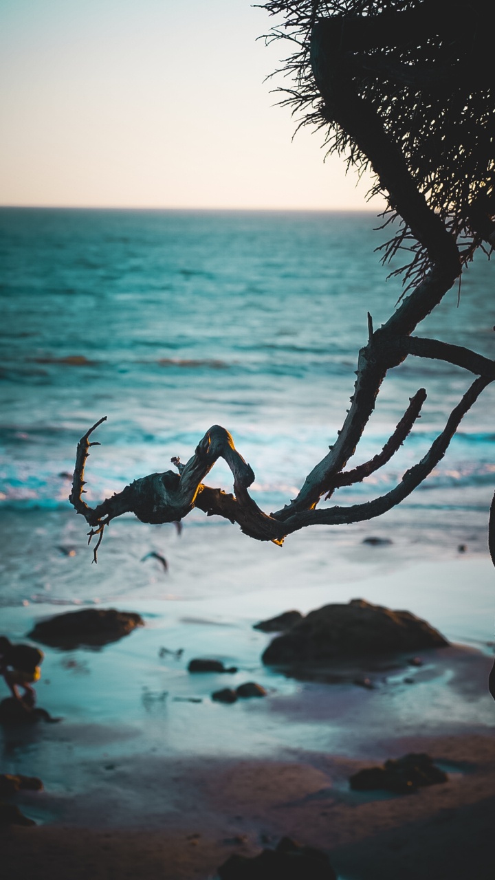 Обои берег, океан, пляж, Малибу, тропическая зона в разрешении 720x1280