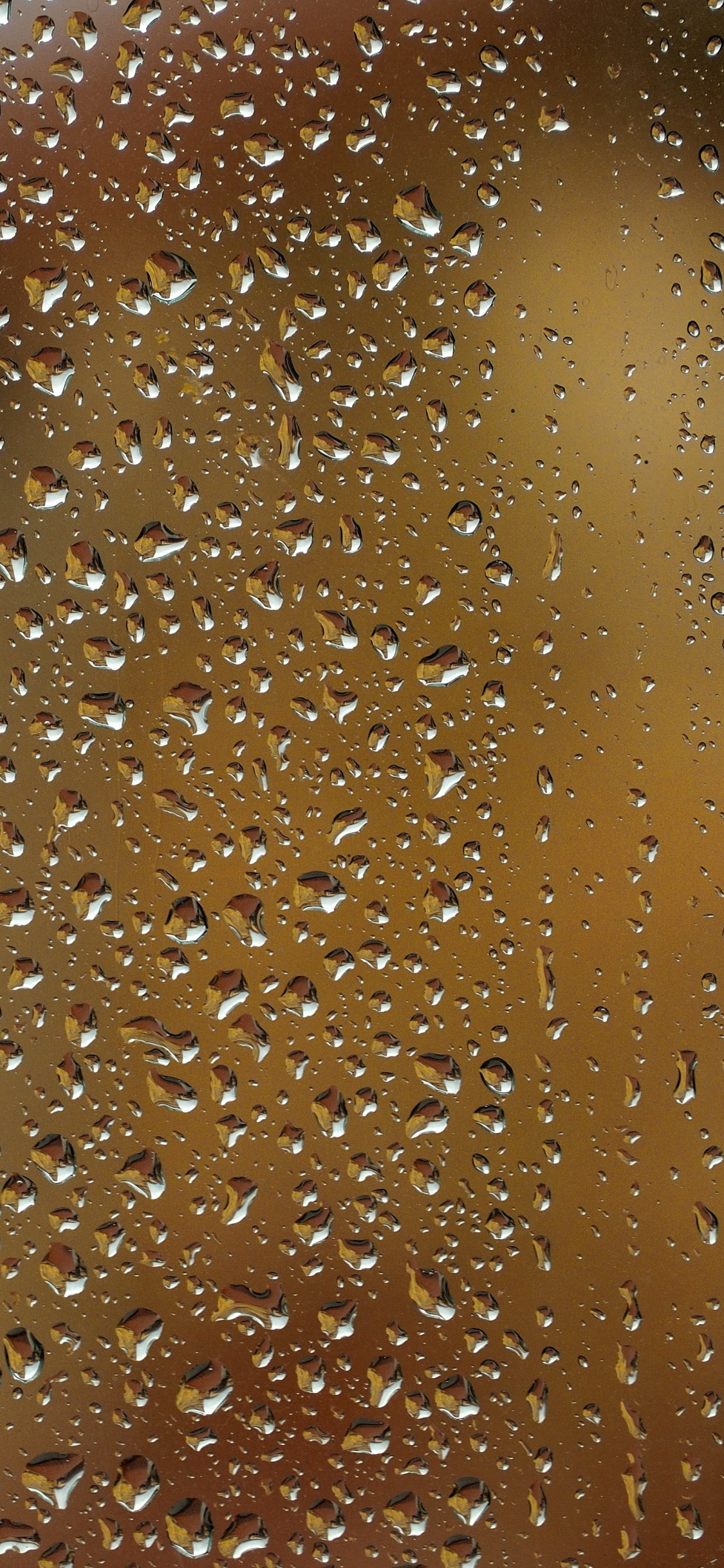 Обои видео, коричневый цвет, карамельный цвет, вода, падение в разрешении 1125x2436