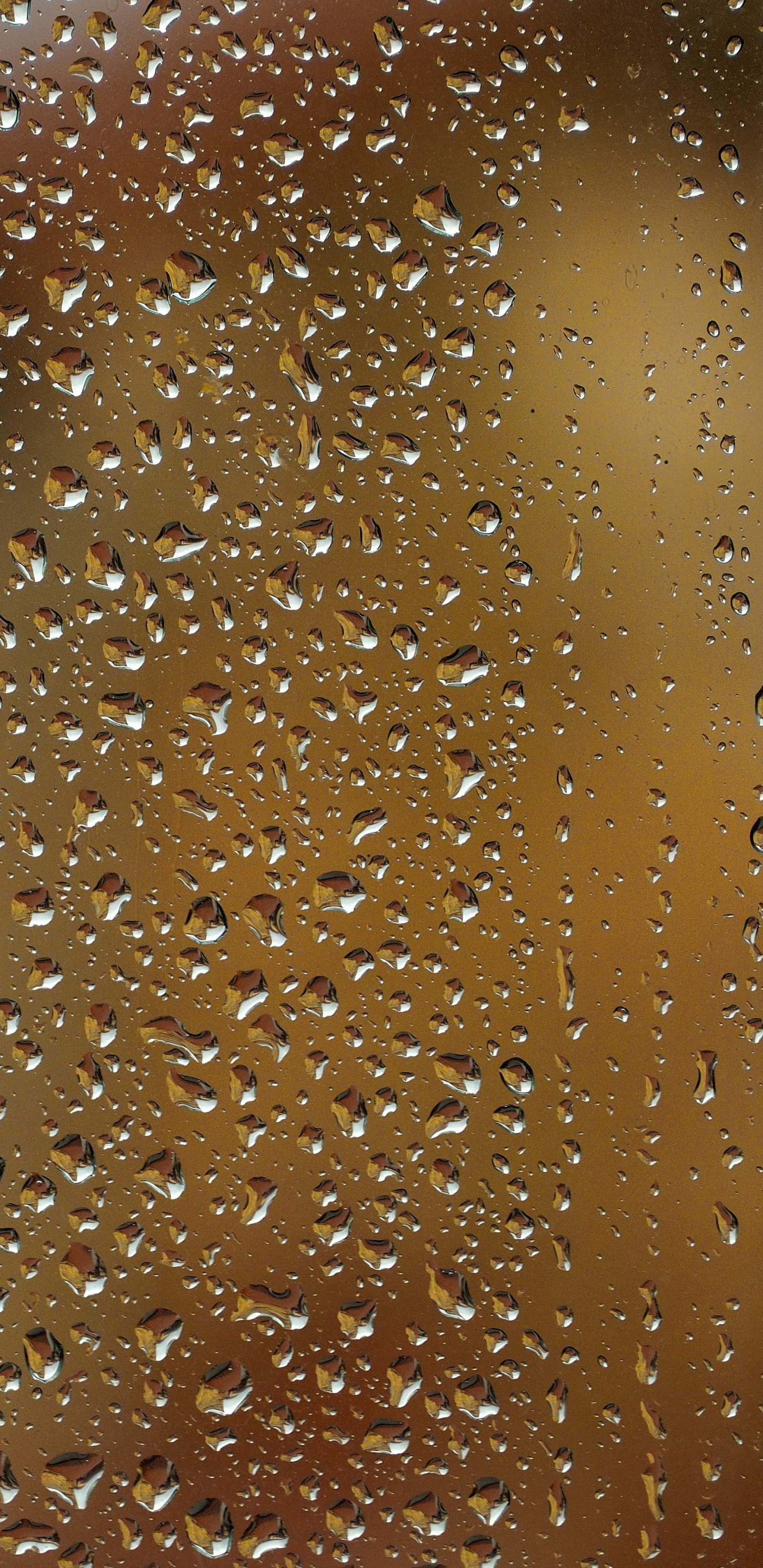 Обои видео, коричневый цвет, карамельный цвет, вода, падение в разрешении 1440x2960