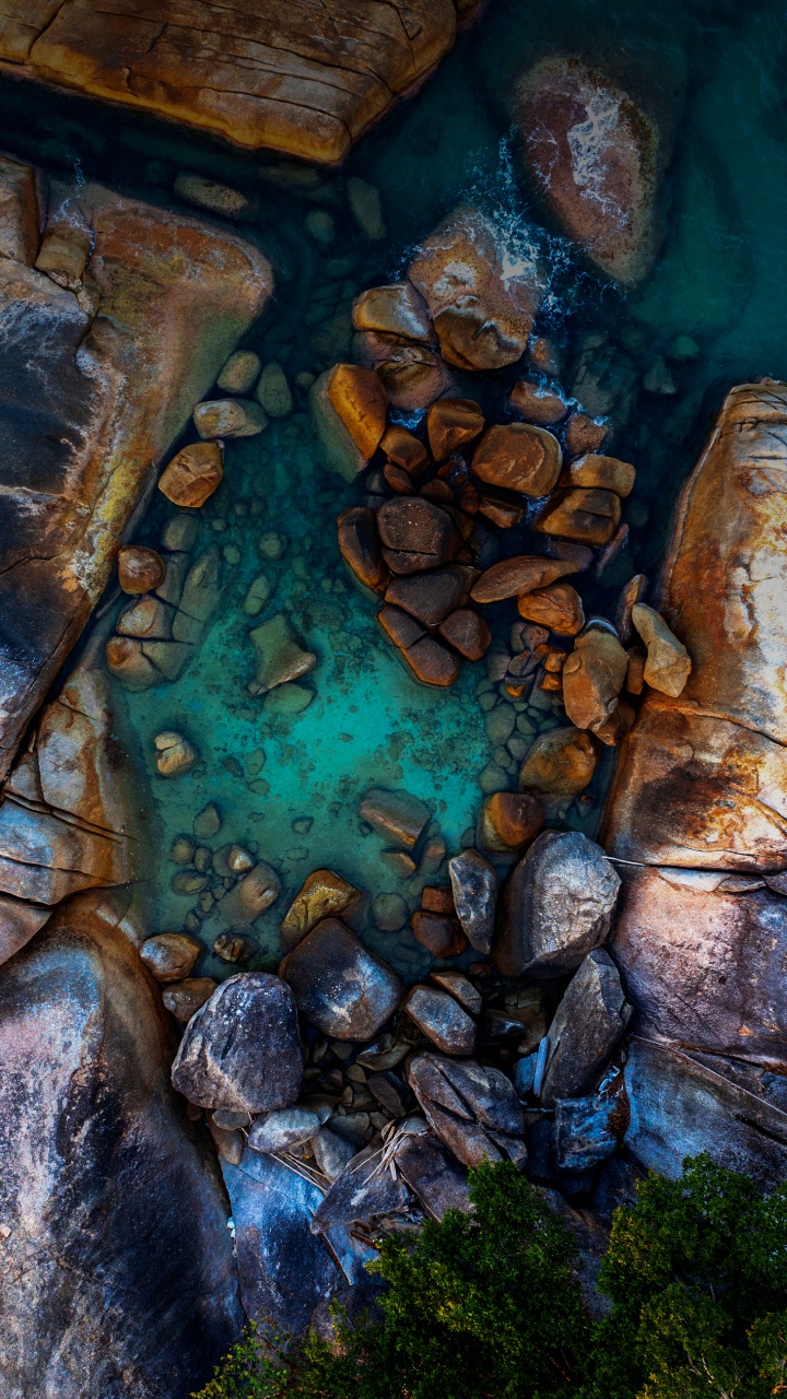 Обои вода, древесина, водоем, коренная порода, водоток в разрешении 720x1280