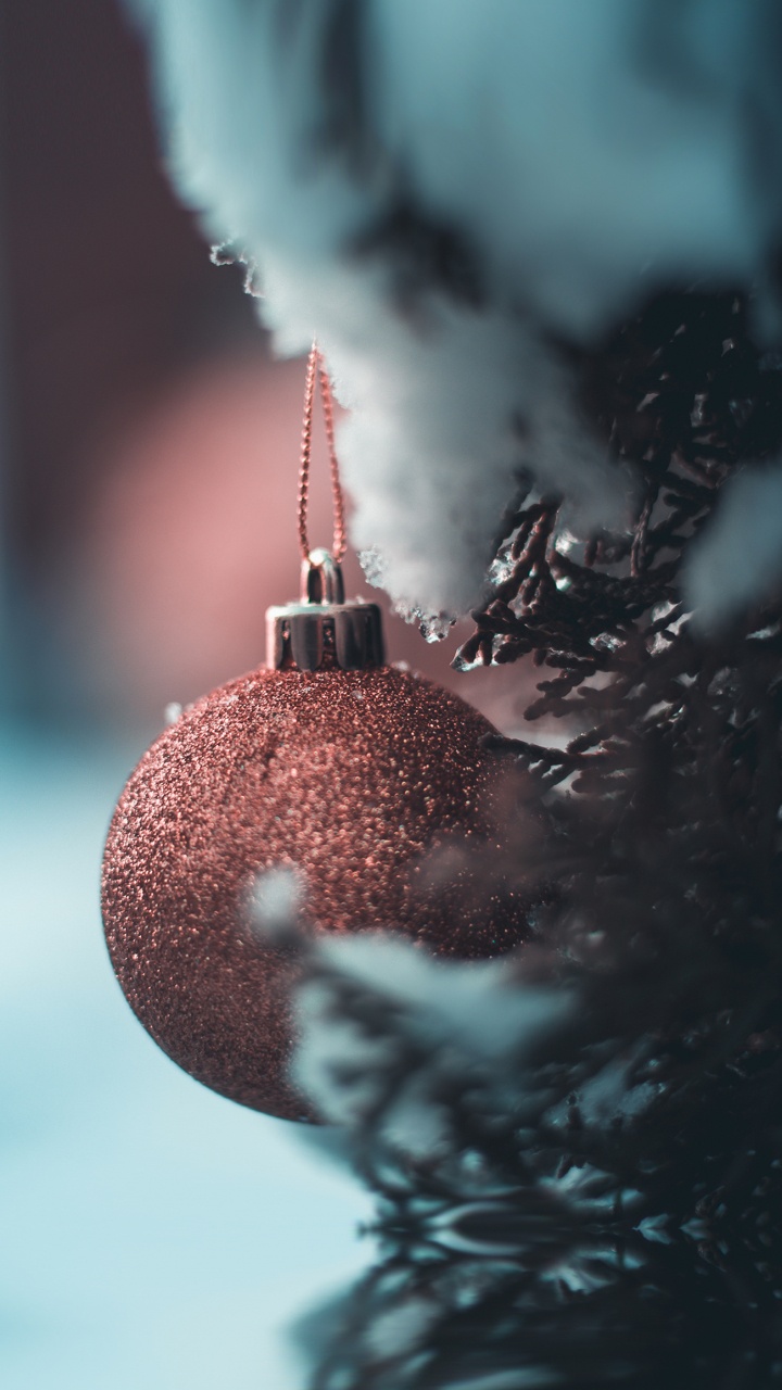 Обои Рождество, ios, рождественский орнамент, ветвь, растение в разрешении 720x1280