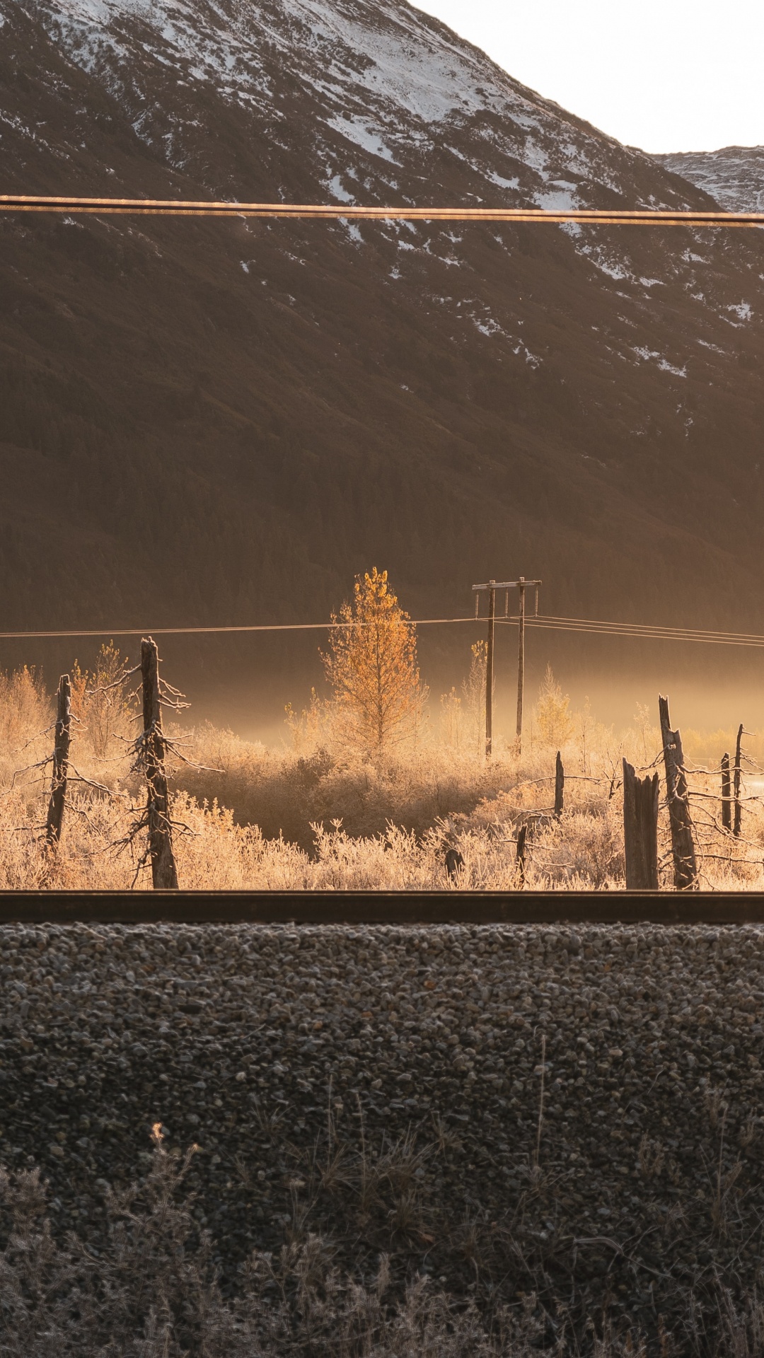 Обои утро, атмосфера, солнечный свет, дерево, вечер в разрешении 1080x1920