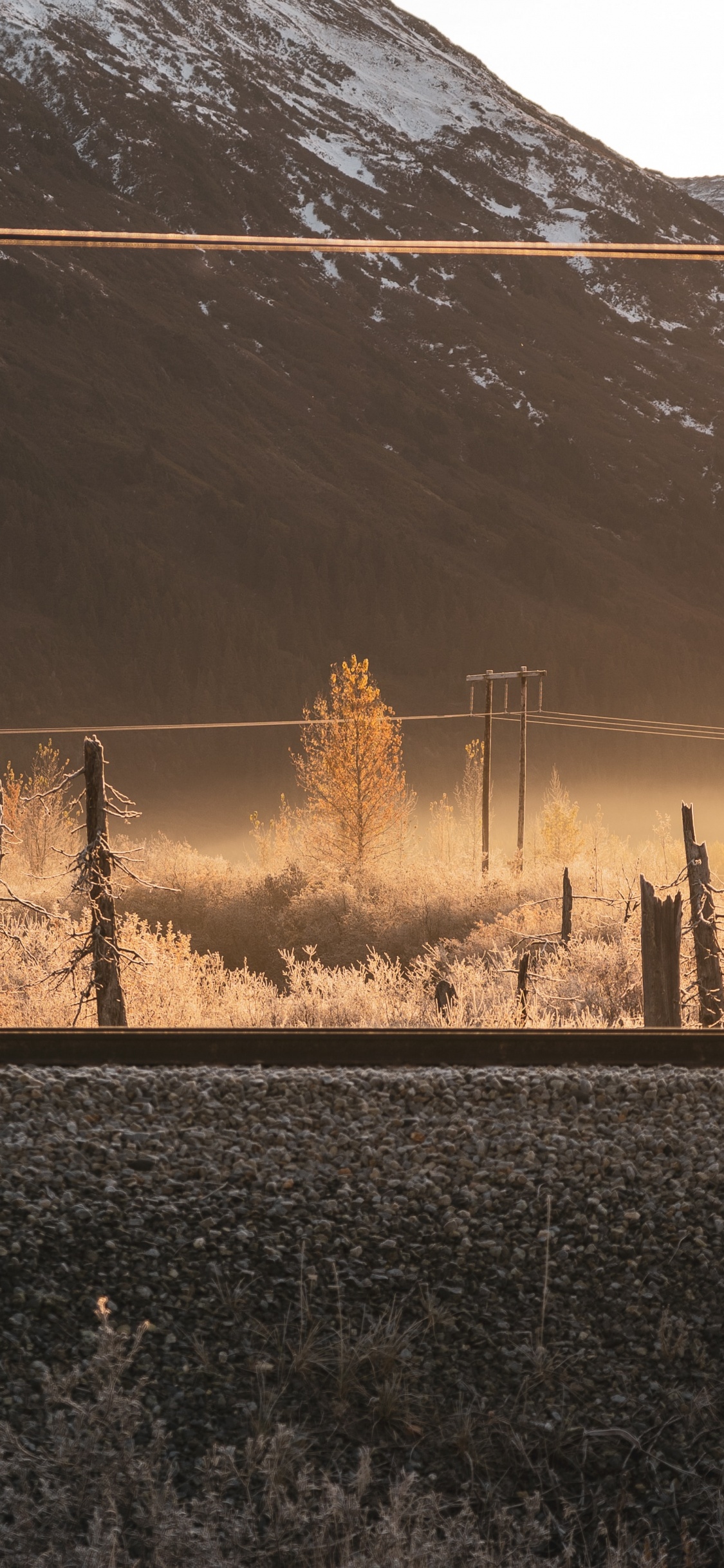 Обои утро, атмосфера, солнечный свет, дерево, вечер в разрешении 1125x2436