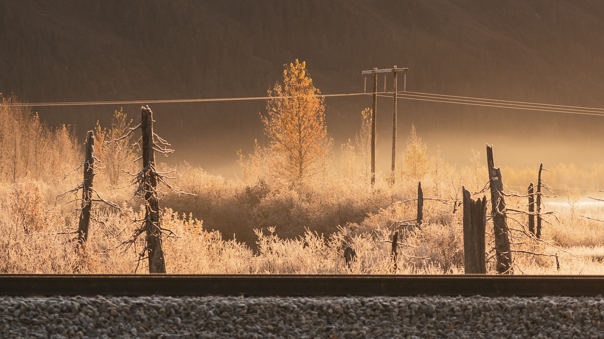 Обои утро, атмосфера, солнечный свет, дерево, вечер в разрешении 1920x1080