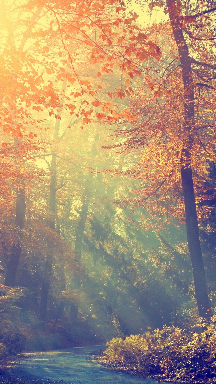 Обои атмосфера, экорегион, Люди в природе, природа, природный ландшафт в разрешении 720x1280