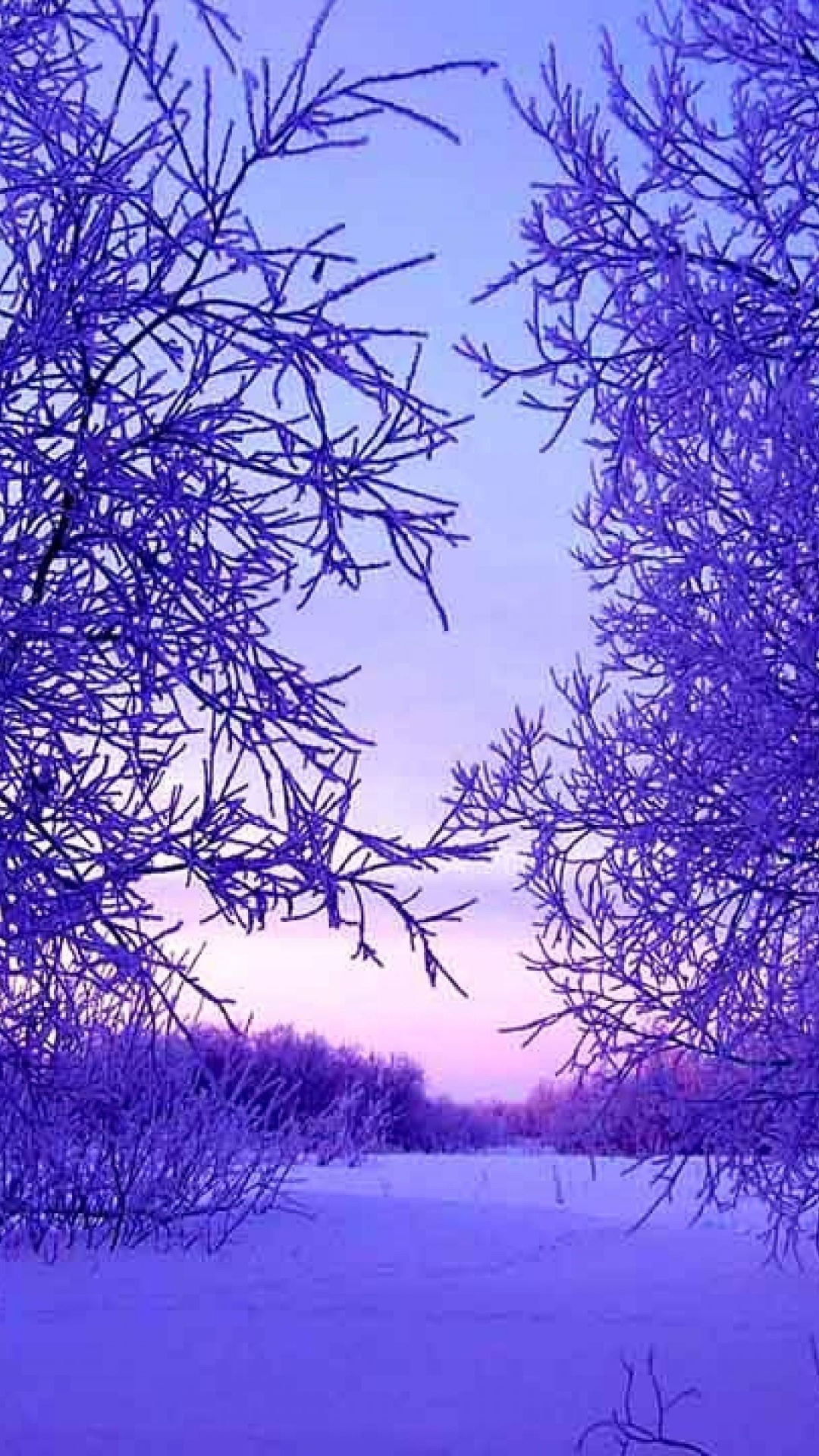 Обои зима, синий, природа, пурпур, дерево в разрешении 1080x1920