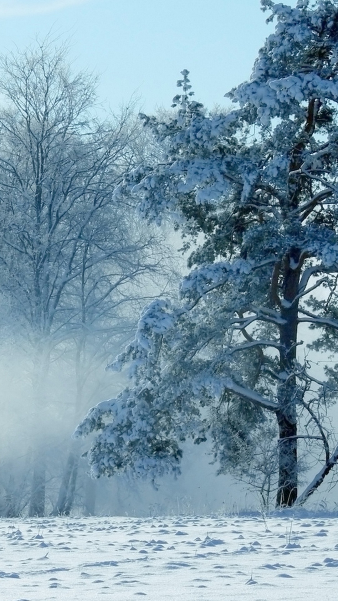 Обои пейзажная живопись, снег, пейзаж, зима, дерево в разрешении 1080x1920