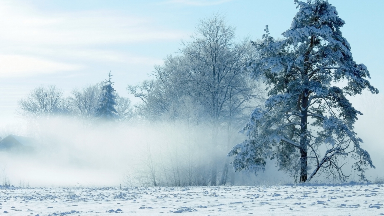 Обои пейзажная живопись, снег, пейзаж, зима, дерево в разрешении 1280x720