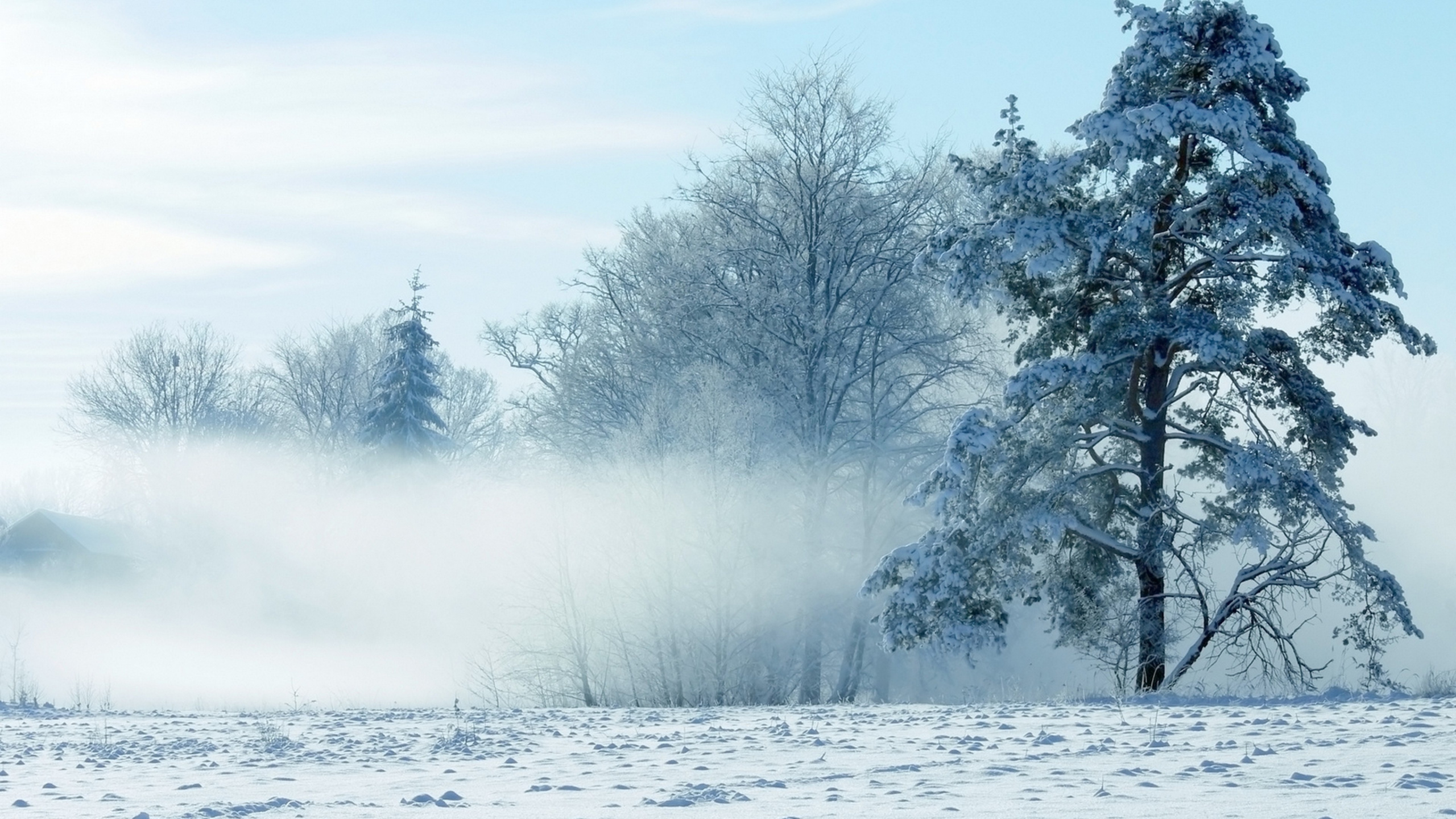 Обои пейзажная живопись, снег, пейзаж, зима, дерево в разрешении 2560x1440