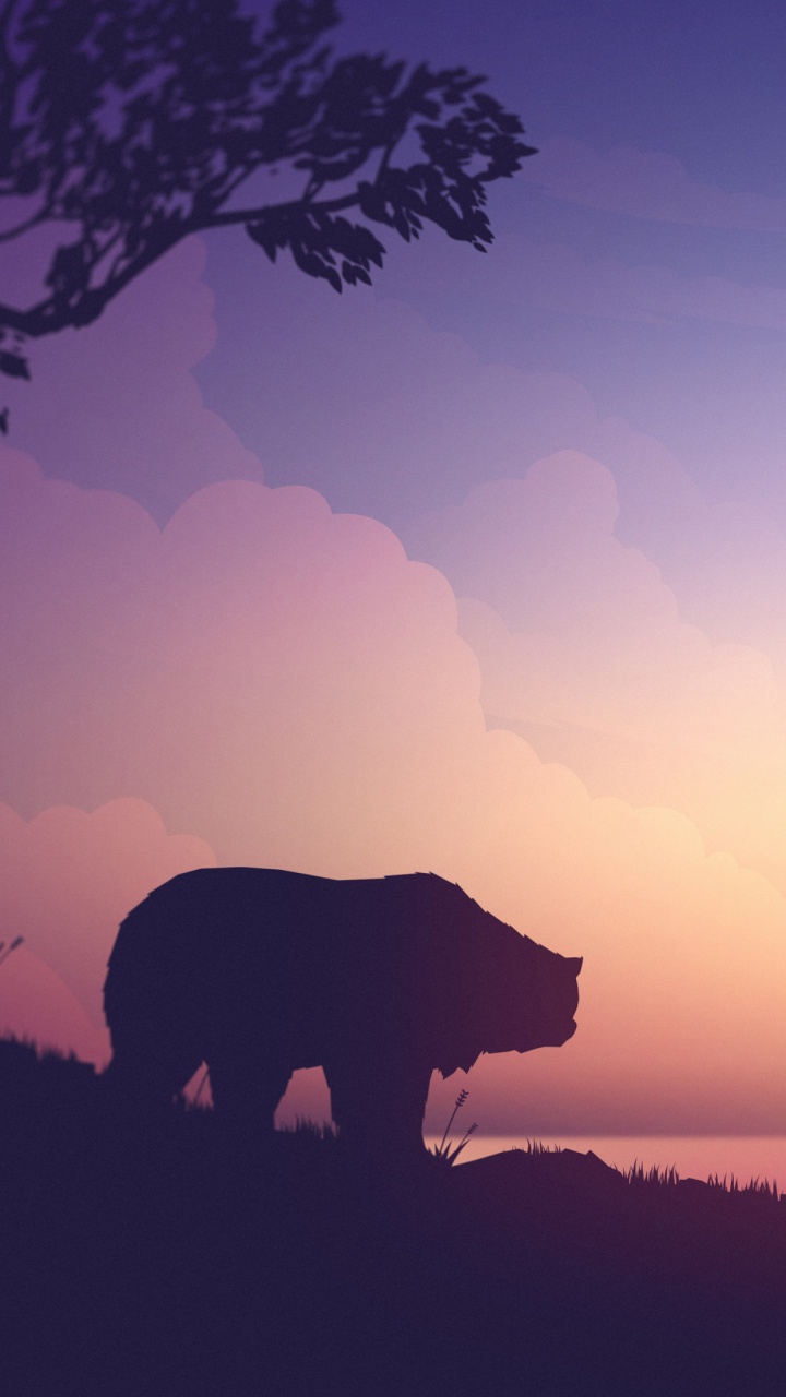 Обои восход солнца, послесвечение, закат, утро, горизонт в разрешении 720x1280