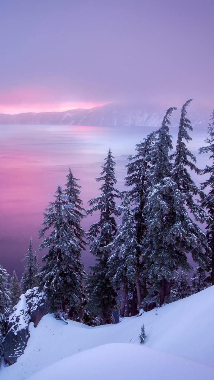 Обои пейзаж, зима, снег, дерево, замораживание в разрешении 720x1280