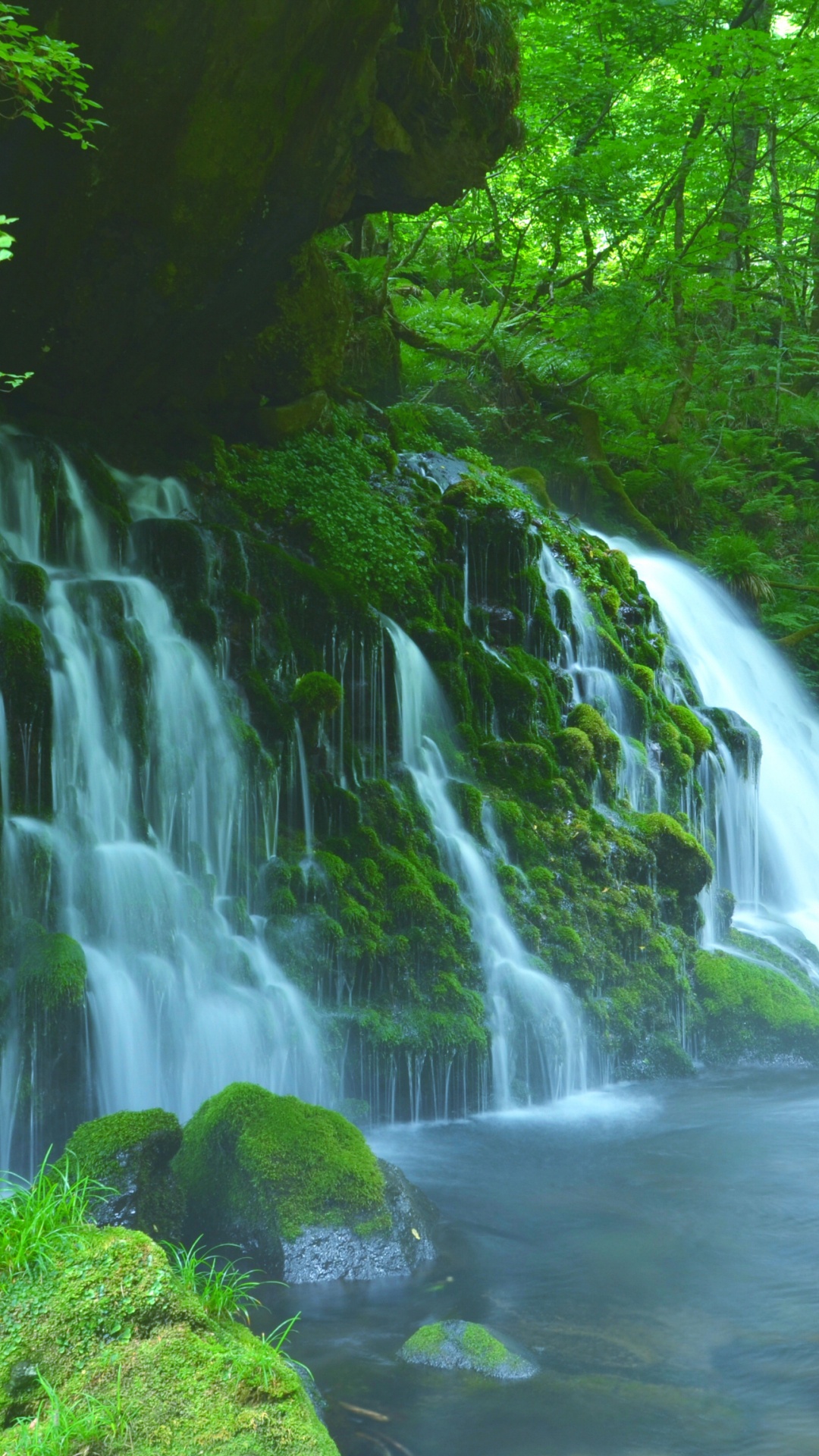 Обои водопад, природный заповедник, природа, водоток, гидроресурсы в разрешении 1080x1920