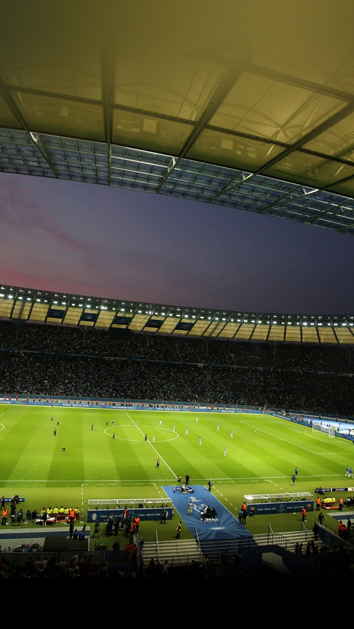 Обои атмосфера, поле дом, мир, игрок, освещение в разрешении 720x1280