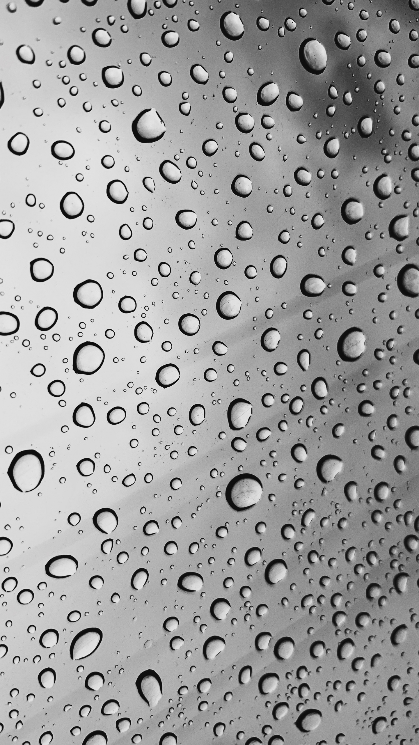 Обои вода, падение, роса, дождь, металл в разрешении 1440x2560