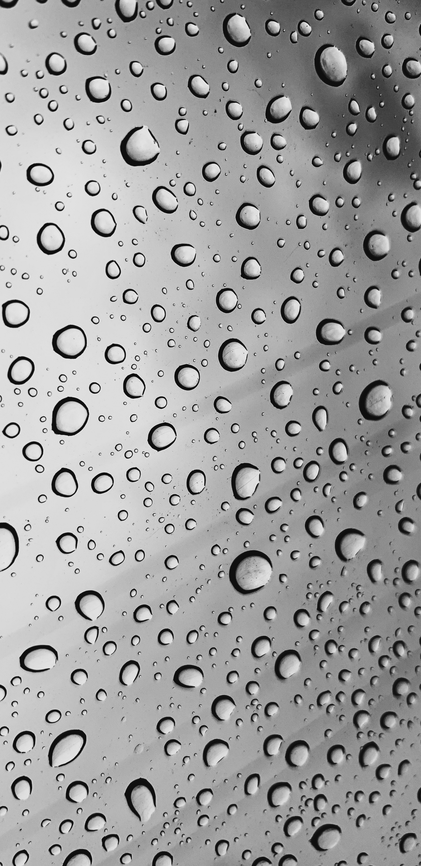 Обои вода, падение, роса, дождь, металл в разрешении 1440x2960