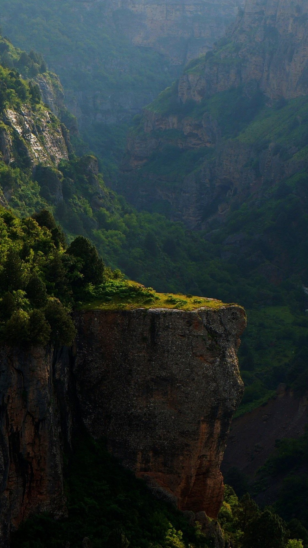 Обои природа, растительность, горный рельеф, природный заповедник, дикая местность в разрешении 1080x1920