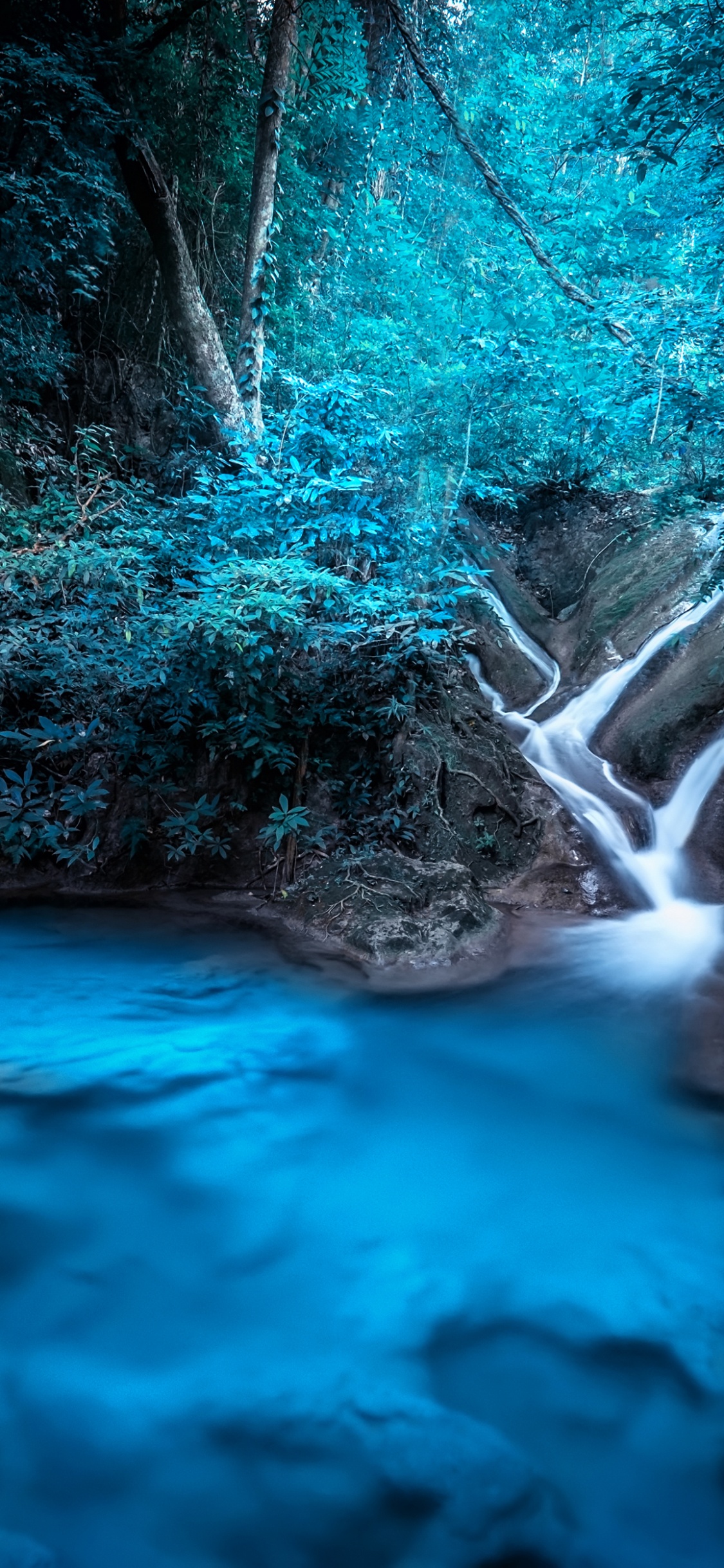 Обои канчанабури, тропический лес, водопад, тропические леса, джунгли в разрешении 1125x2436