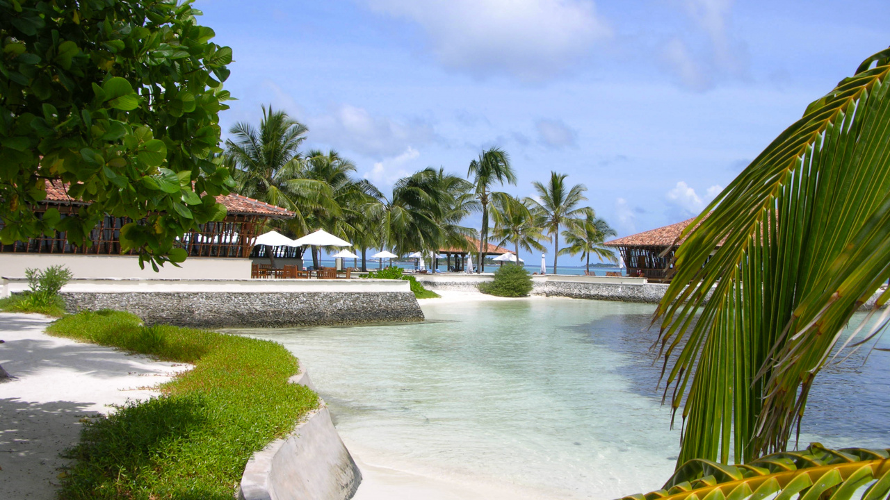 Обои прибежище, плавательный бассейн, тропическая зона, Карибский бассейн, отпуск в разрешении 1280x720