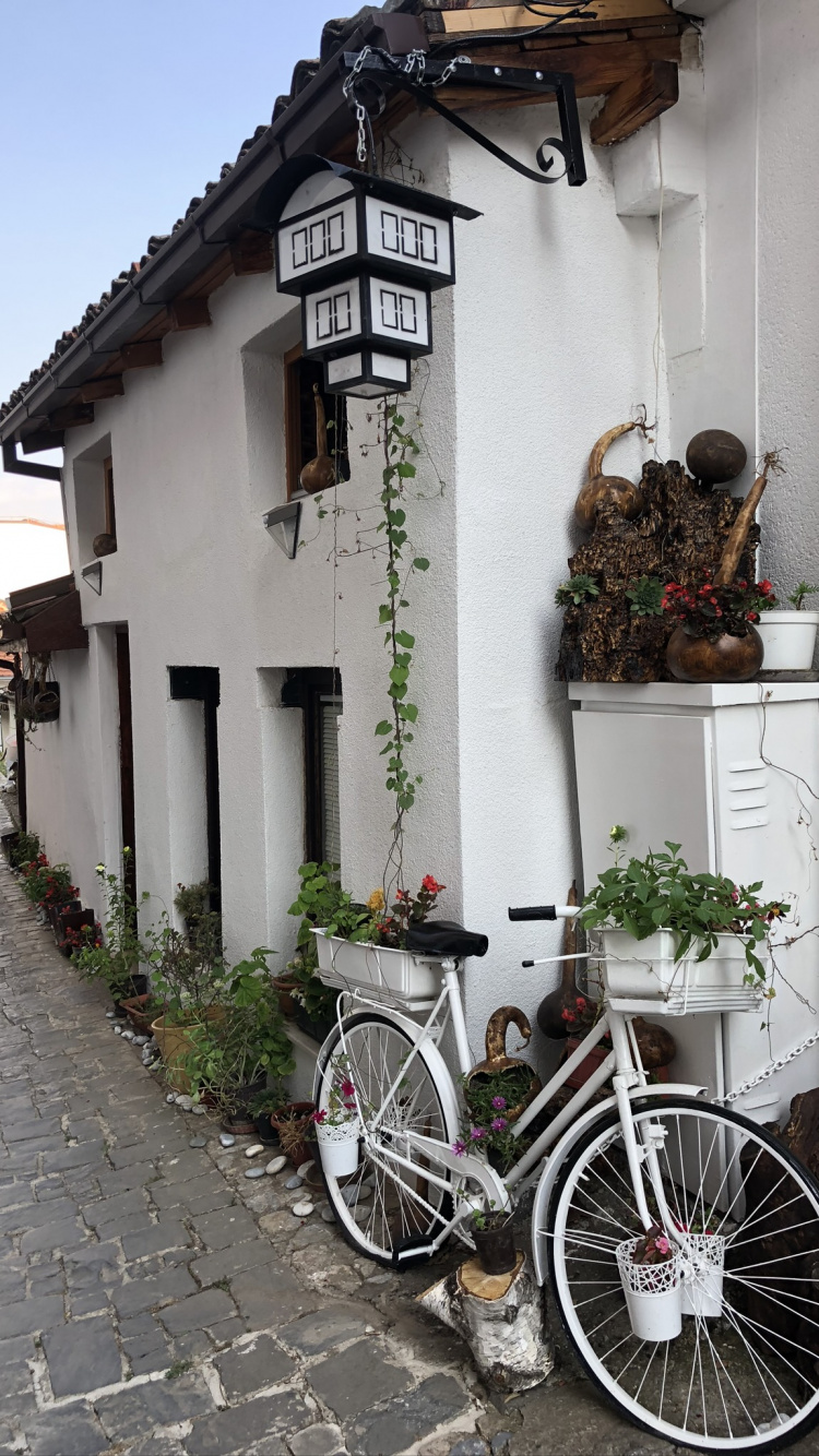 Обои дорожный велосипед, велосипед, Велоспорт, гоночный велосипед, горный велосипед в разрешении 750x1334