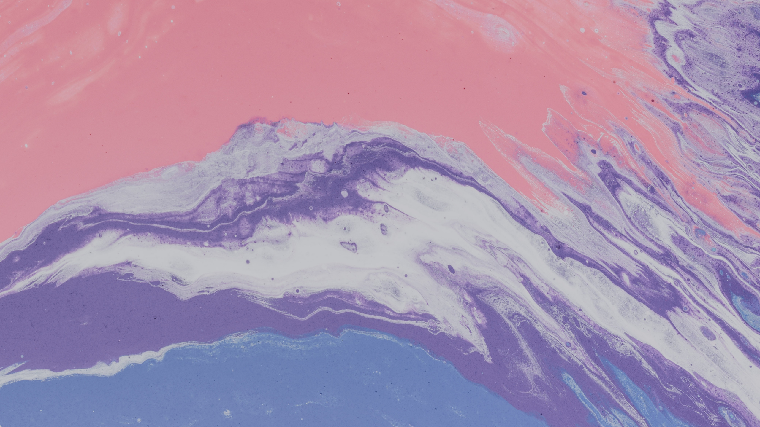 Обои акриловая краска, синий, вода, розовый, пурпур в разрешении 2560x1440