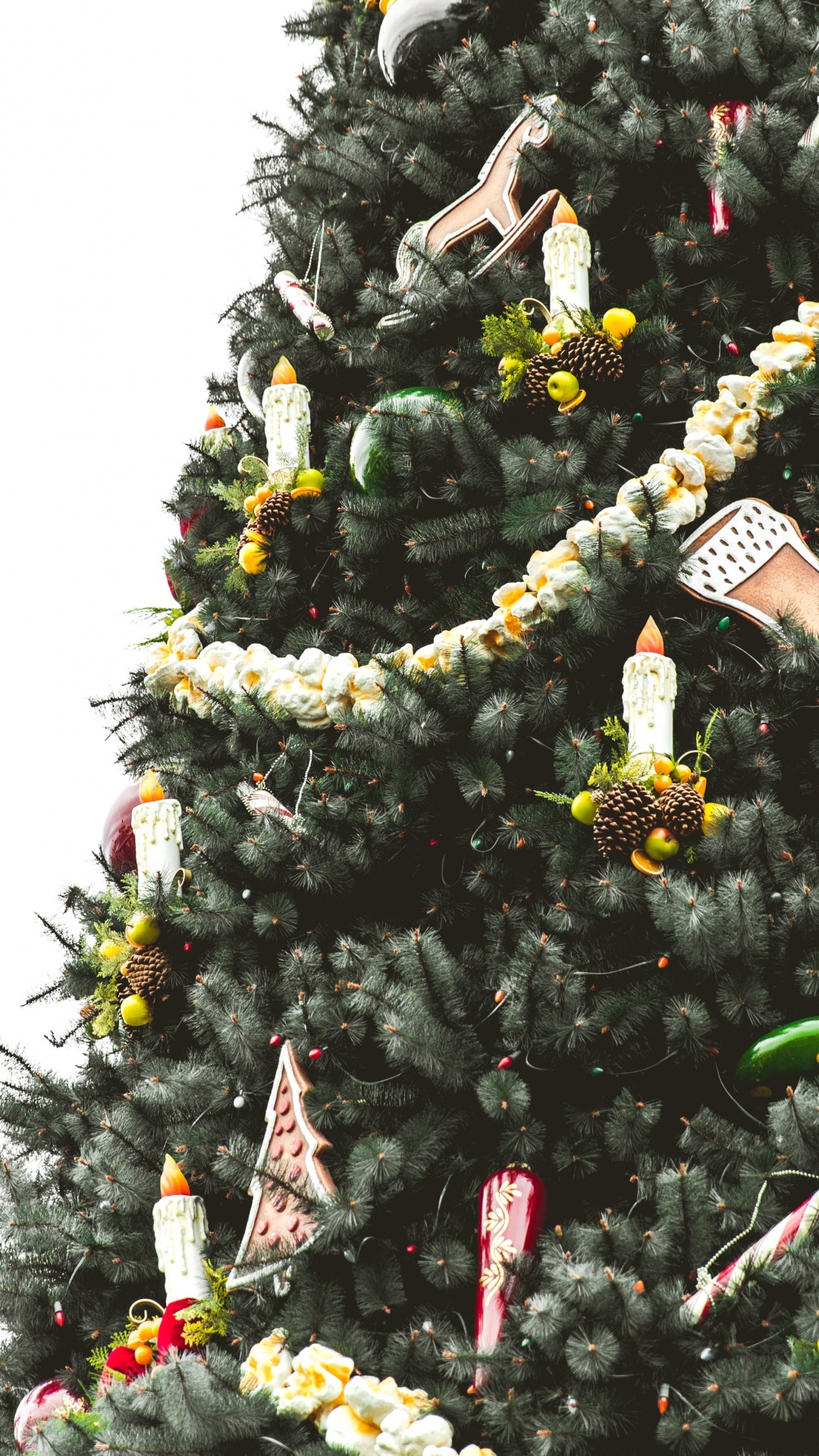 Обои елка, Рождественский день, Рождество и курортный сезон, дерево, растение в разрешении 1080x1920