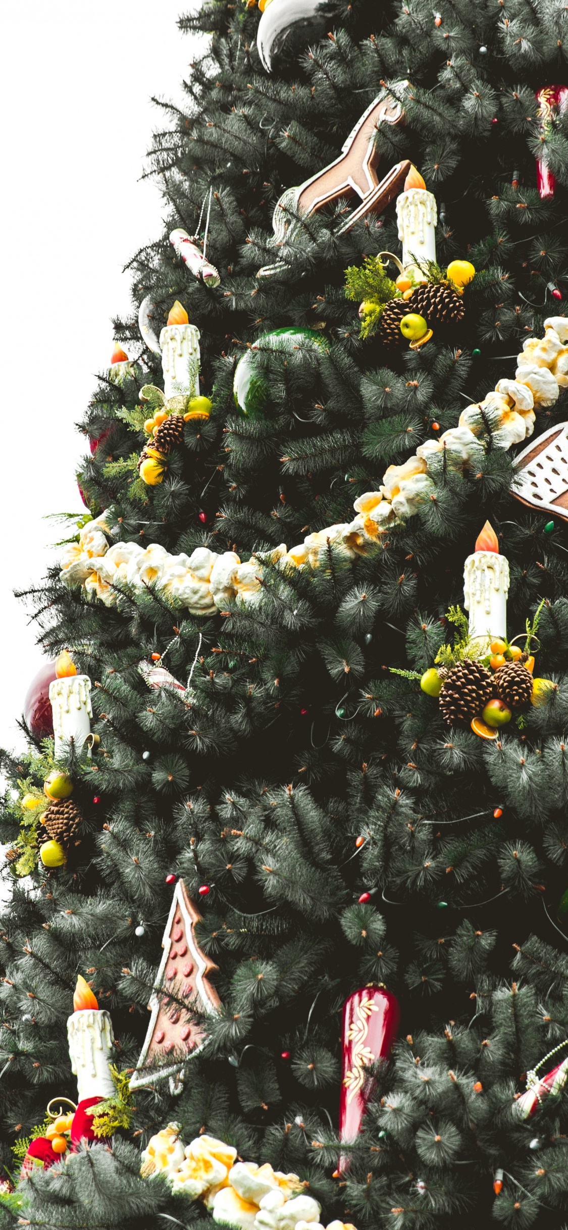 Обои елка, Рождественский день, Рождество и курортный сезон, дерево, растение в разрешении 1125x2436