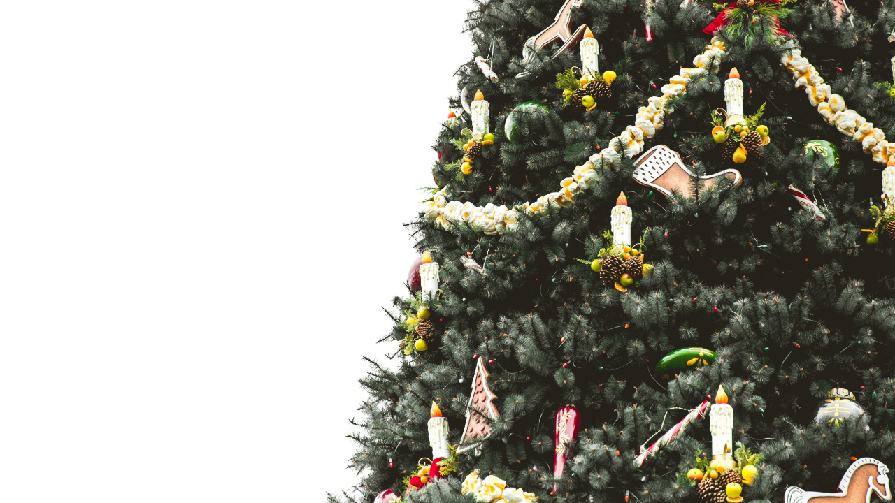 Обои елка, Рождественский день, Рождество и курортный сезон, дерево, растение в разрешении 1280x720