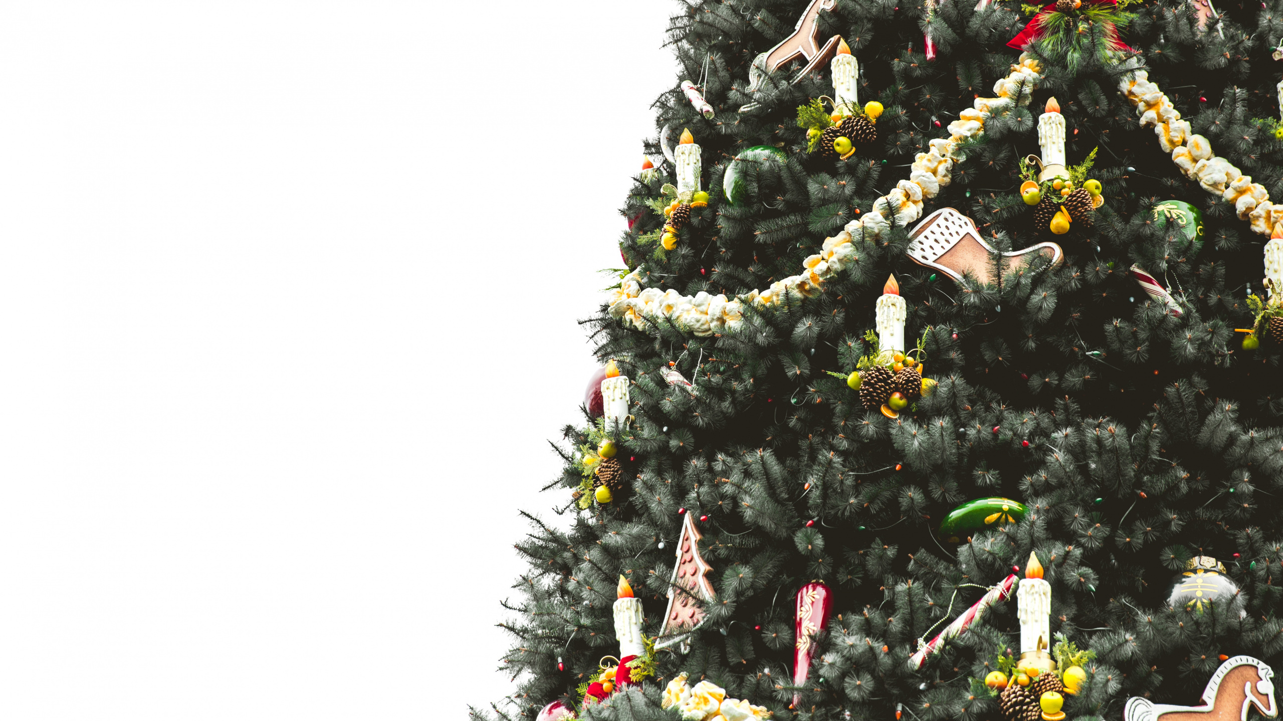 Обои елка, Рождественский день, Рождество и курортный сезон, дерево, растение в разрешении 2560x1440