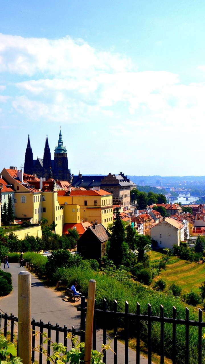 Обои городок, город, городской район, ориентир, дерево в разрешении 720x1280