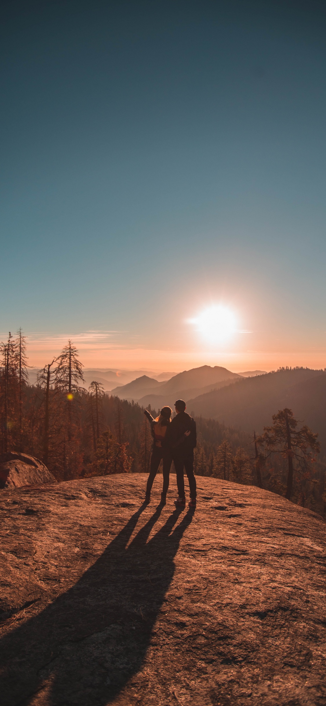 Обои природа, дерево, дикая местность, гора, утро в разрешении 1125x2436