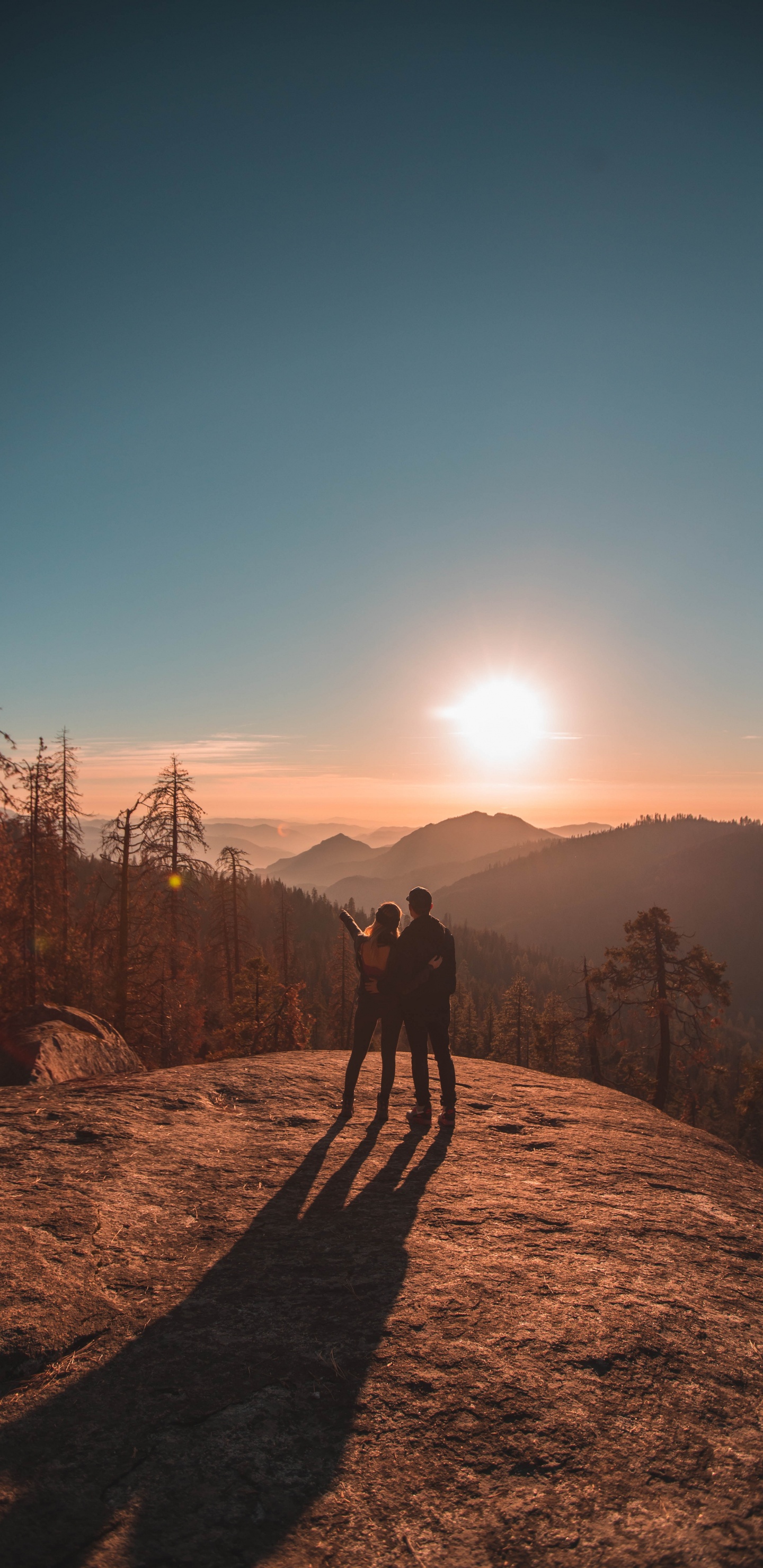 Обои природа, дерево, дикая местность, гора, утро в разрешении 1440x2960