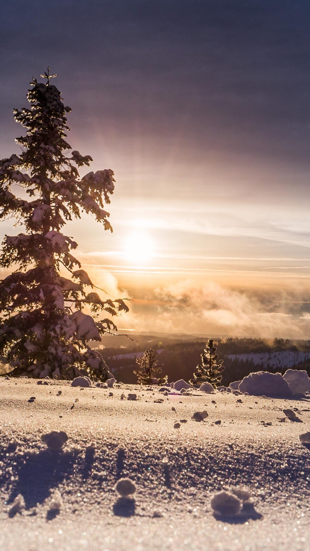 Обои родился Иисус рождество, Рождественский день, Рождества Иисуса, елка, ветвь в разрешении 1080x1920