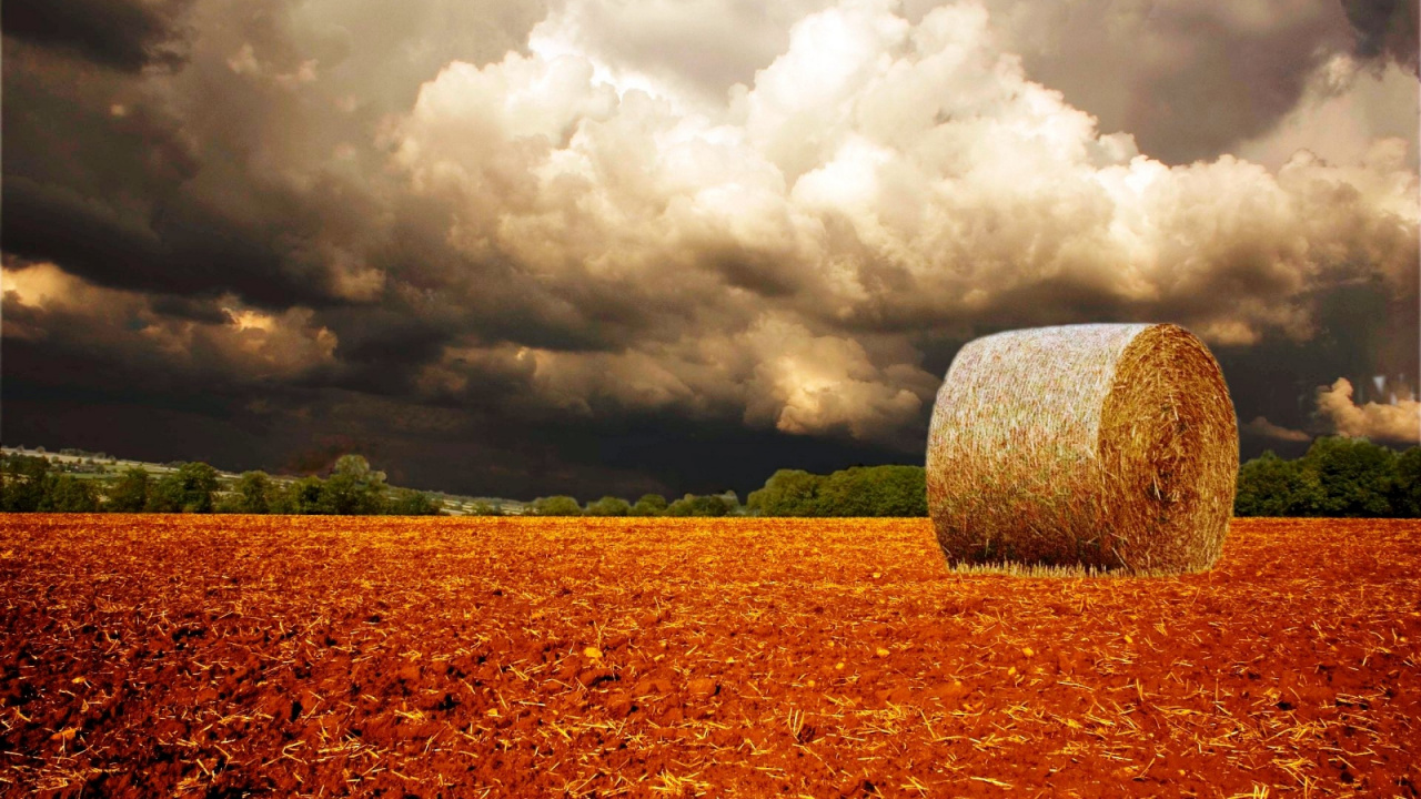 Обои поле, сено, облако, солома, сельский район в разрешении 1280x720