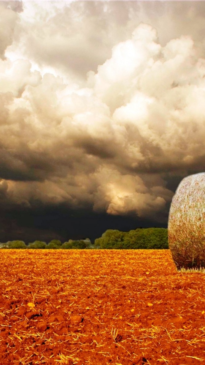 Обои поле, сено, облако, солома, сельский район в разрешении 720x1280