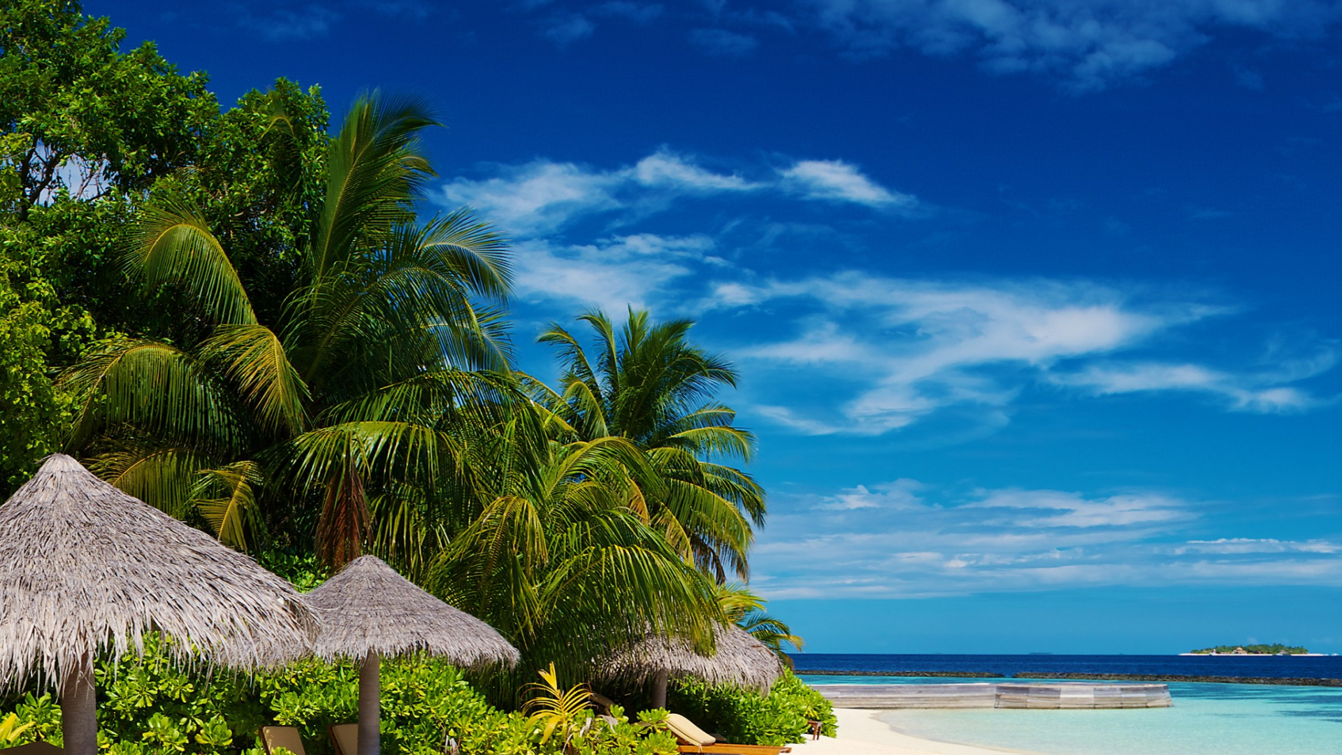 Обои тропическая зона, пляж, Карибский бассейн, море, Пальма в разрешении 1920x1080