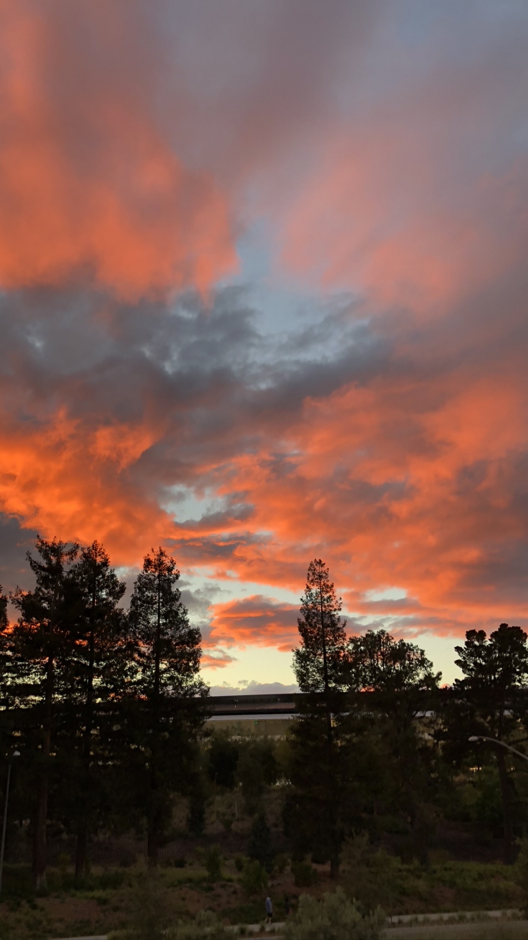 Обои водоем, дорога, природа, ночь, растительность в разрешении 1080x1920