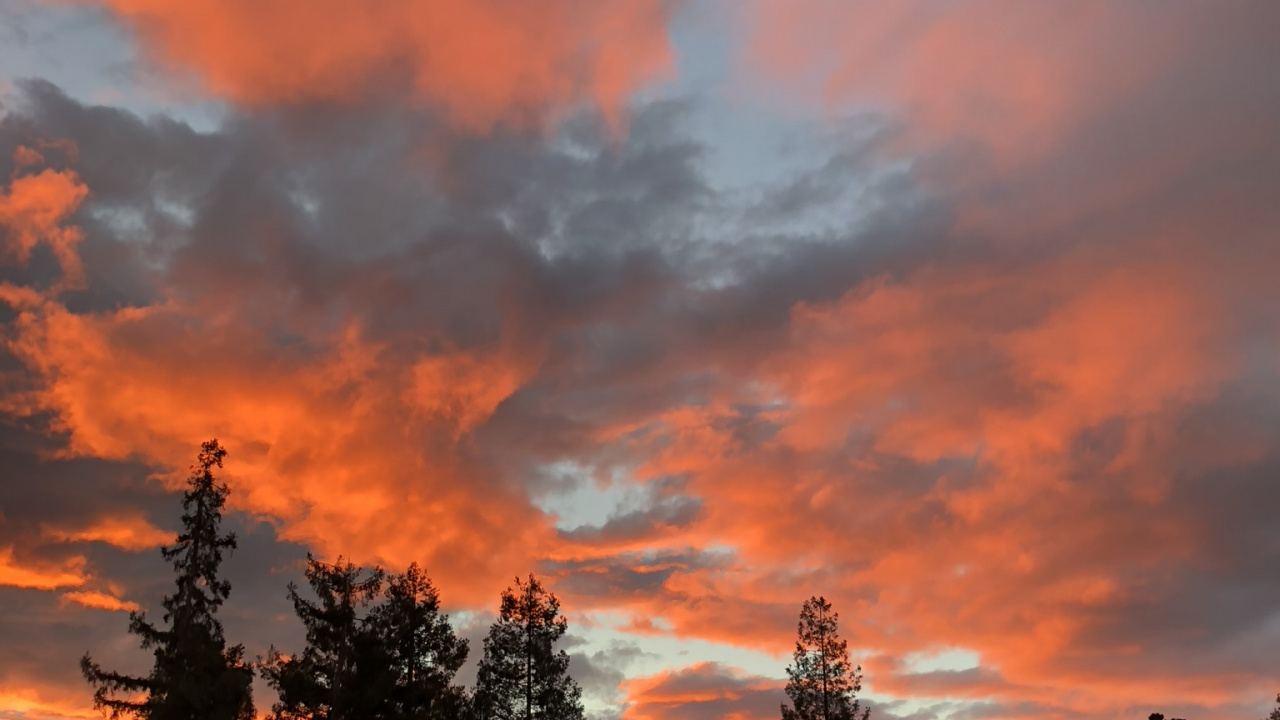 Обои водоем, дорога, природа, ночь, растительность в разрешении 1280x720