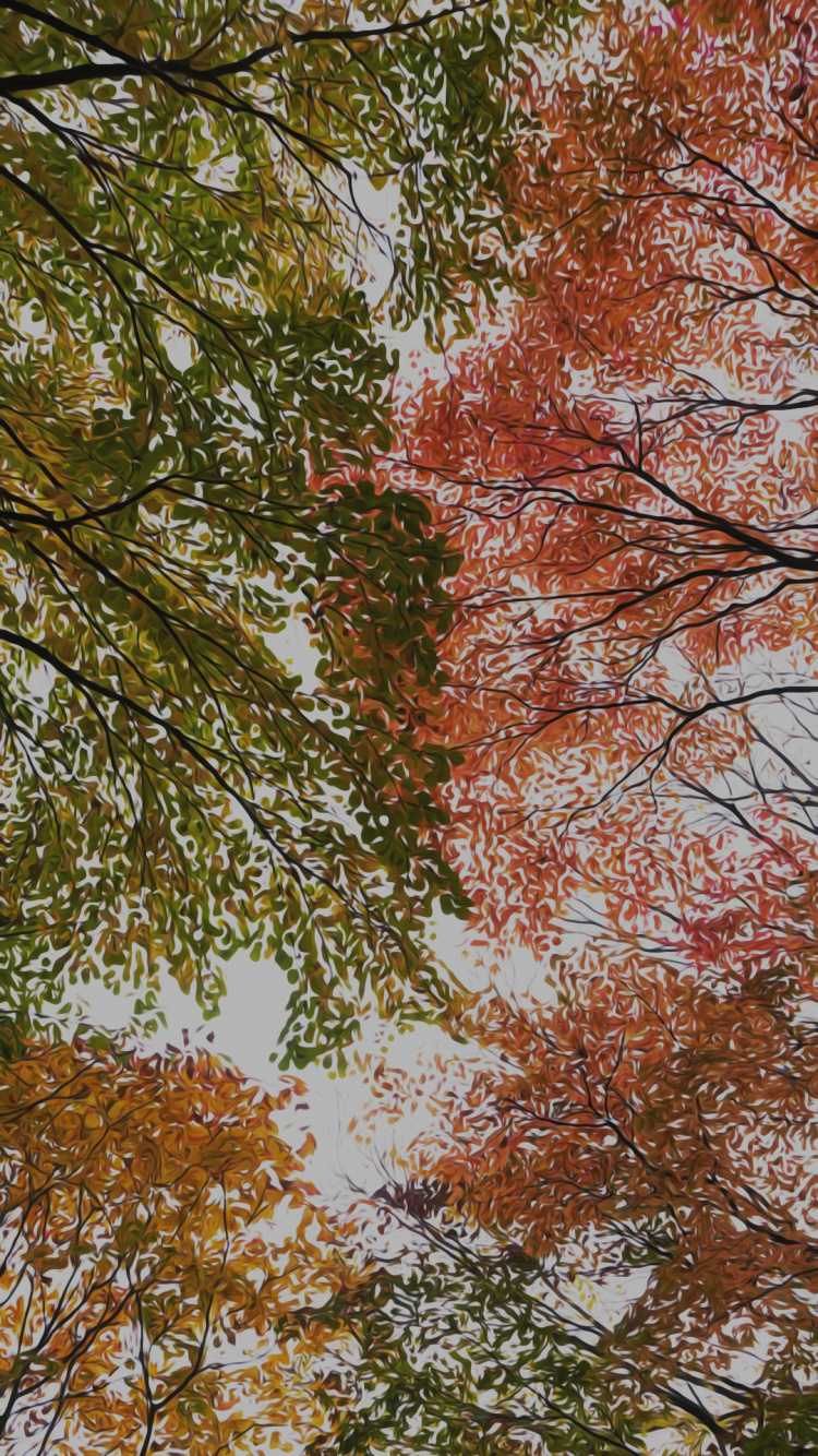 Обои лист, коричневый цвет, прут, природный ландшафт, листопадные в разрешении 750x1334