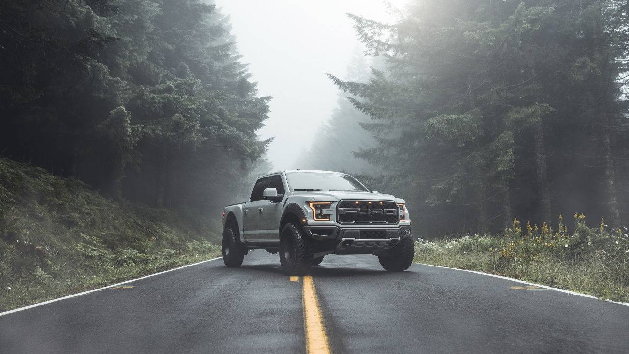 Обои 2019 Форд Рейнджер, Форд Рейнджер, легковые автомобили, компания Ford, Шелби Мустанг в разрешении 1280x720