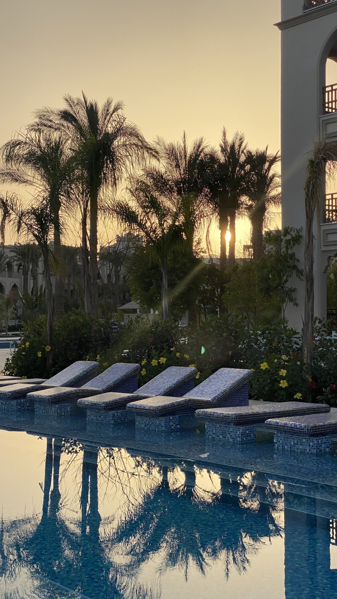 Обои отражение, вода, растение, дневное время, свойство в разрешении 1080x1920