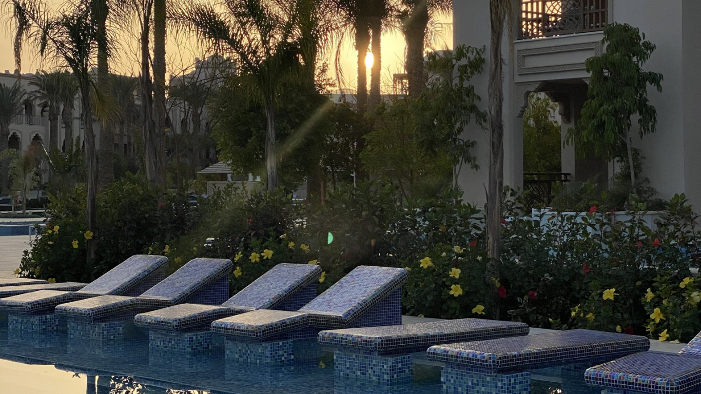 Обои отражение, вода, растение, дневное время, свойство в разрешении 1366x768