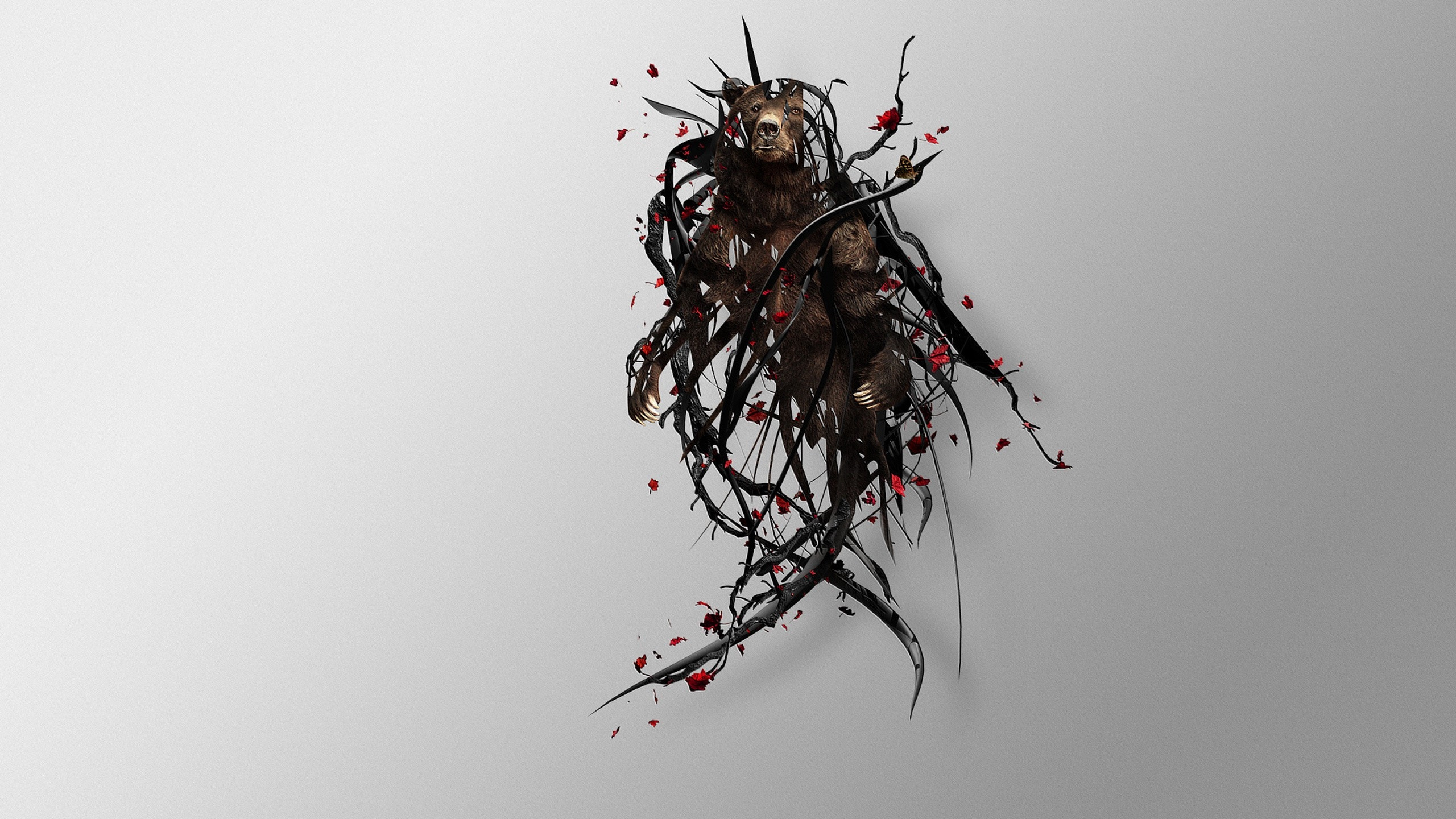 Обои ветвь, прут, Всемирная паутина, веточка в разрешении 2560x1440