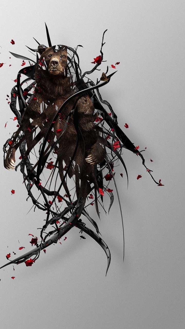 Обои ветвь, прут, Всемирная паутина, веточка в разрешении 720x1280