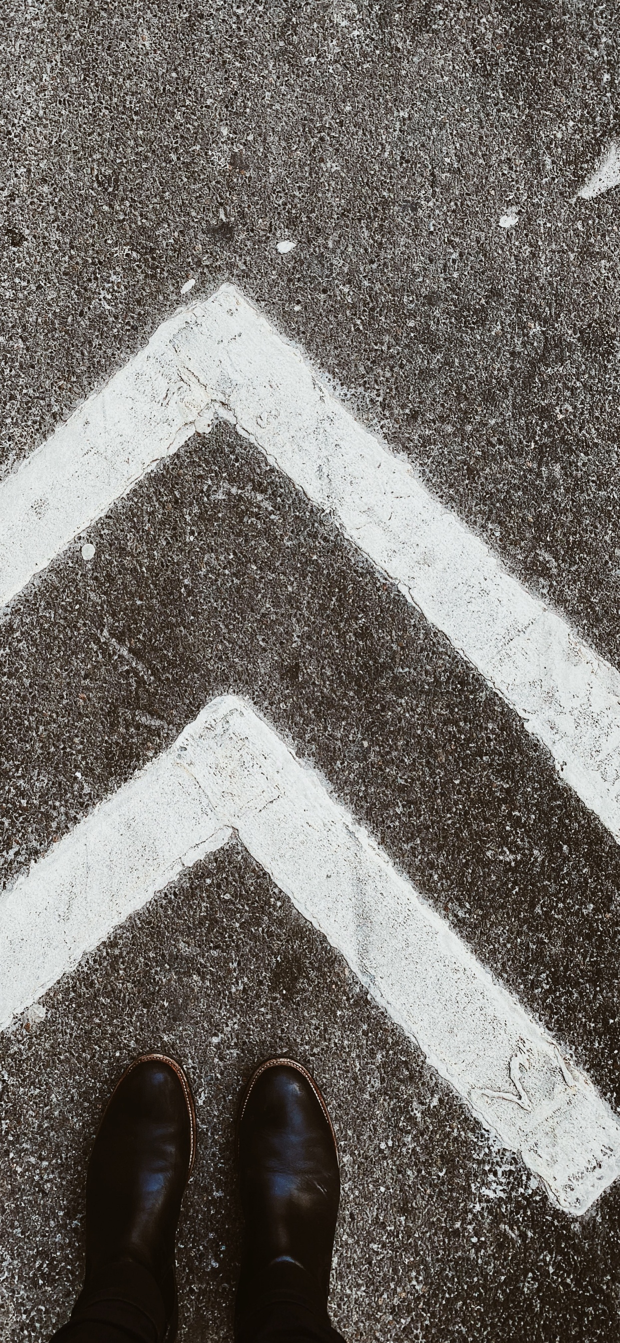 Обои снимок, дорога, масляная краска, Черный Белый - М, масляная живопись в разрешении 1242x2688