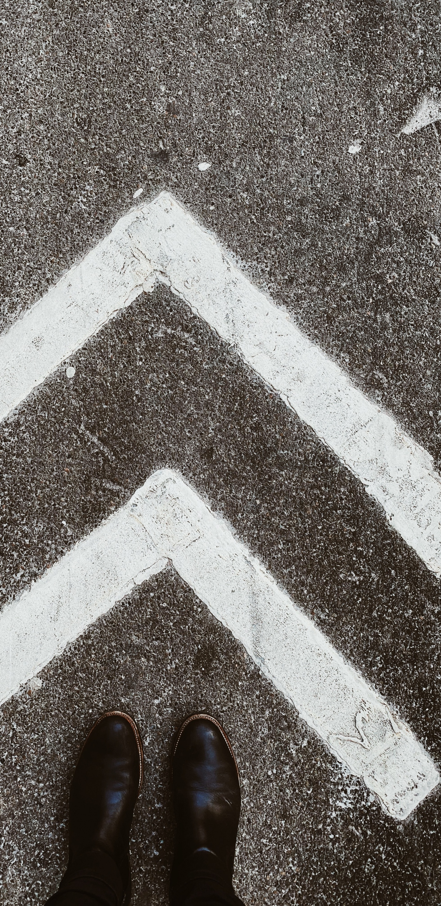 Обои снимок, дорога, масляная краска, Черный Белый - М, масляная живопись в разрешении 1440x2960